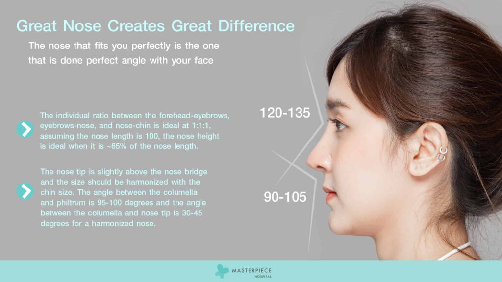 Great-Nose-Creates-Great-Difference
